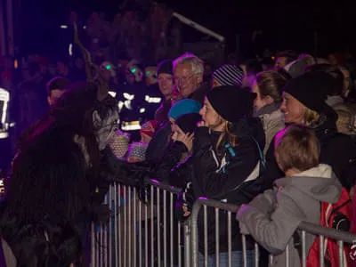 Devils Night 2014 Bild 22
